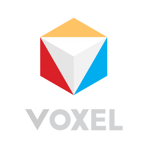 Voxel